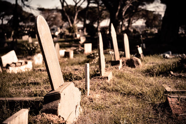 Row of gravestones in derelict graveyard Blank head stones in an unkempt graveyard in Cape Town, South Africa burial mound photos stock pictures, royalty-free photos & images