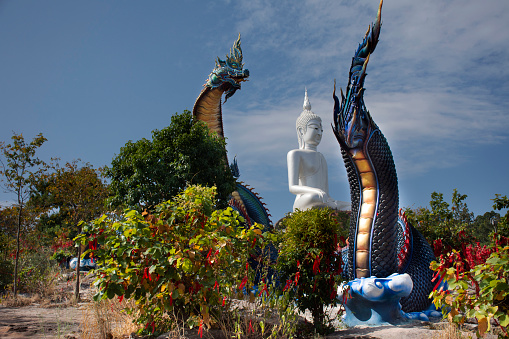 Big blue Naka and white buddha statue in Wat Roi Phra Phutthabat Phu Manorom for thai people and foreigner travelers travel visit and respect praying at Mukdahan National Park in Mukdahan, Thailand