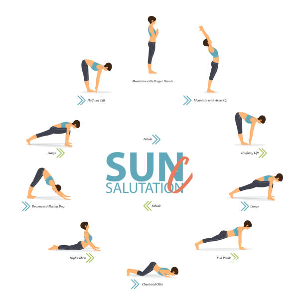 illustrations, cliparts, dessins animés et icônes de infographie de 6 poses de yoga pour le yoga à la maison dans le concept de yoga sun salutation c dans la conception plate. la femme fait l’exercice pour l’étirement de corps. ensemble de posture de yoga ou d’infographie asana. vecteur de yoga - salutation au soleil