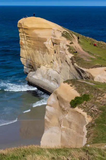 Photo of Sandstone cliffs  at Tunnel beach in New Zealand