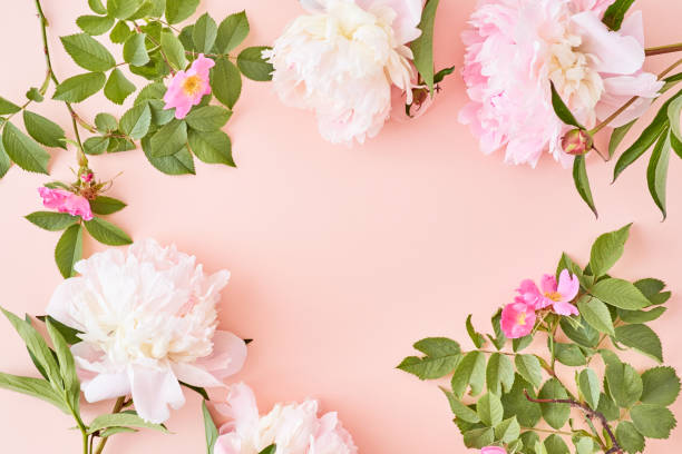 istock Flat lay composition with pink peonies on a pink background 1223927756
