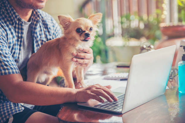 istock Businessman working online at the home office 1223928810