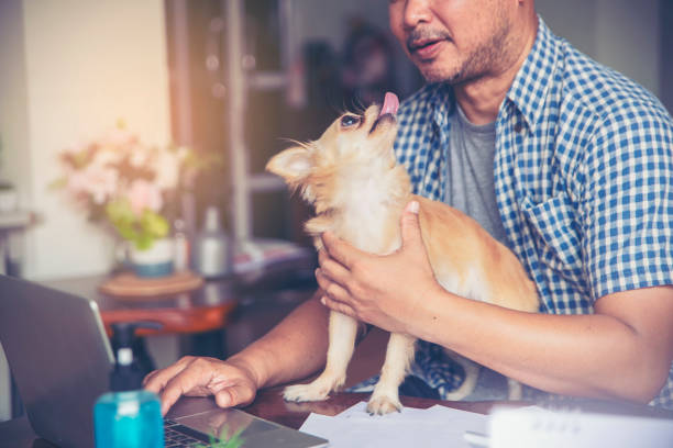 istock Businessman working online at the home office 1223928829