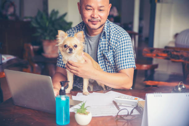 istock Businessman working online at the home office 1223928852