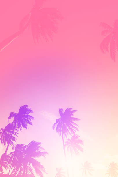 istock Copy space of silhouette tropical palm tree with sun light on sunset sky and cloud abstract background. 1223929045