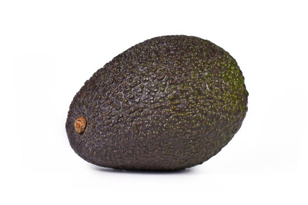 whole hass avocado, a cultivar of avocado with dark green colored, bumpy skin isolated on white backgroundhass avocado, a cultivar of avocado with dark green colored, bumpy skin on white background - persea imagens e fotografias de stock