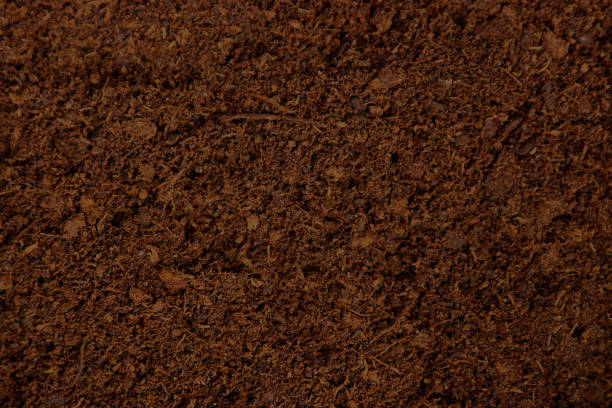 istock The texture of dry peat. 1223930554