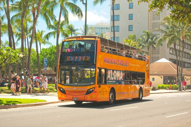 Waikiki Trolley Bus stock photo