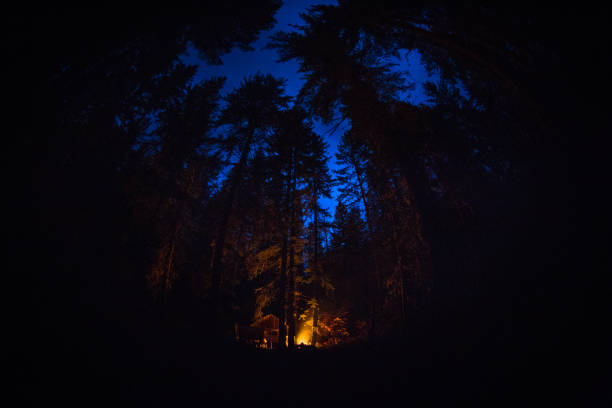 istock FIre in the woods by an old cabin 1223934044