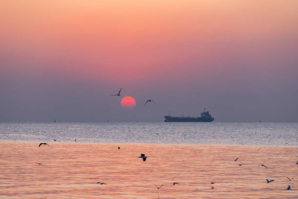 istock Landscape view  in sunset with seagulls and general cargo ship 1223935122