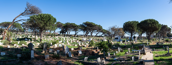 Masses of graves in overflowing Muslim cemetery in Cape Town, South Africa, where the number of Covid-19 deaths are escalating and putting pressure on both medical and funeral services. Government is advised families that patients dying from the Corona virus may have to accept mass graves due to the overcrowding of existing graveyards.