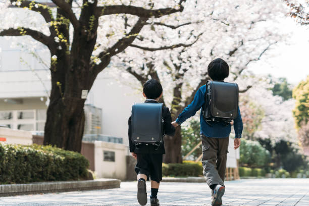 Japanese upper elementary school students and first graders raise their hands at an intersection Japanese upper elementary school students and first graders raise their hands at an intersection randoseru stock pictures, royalty-free photos & images