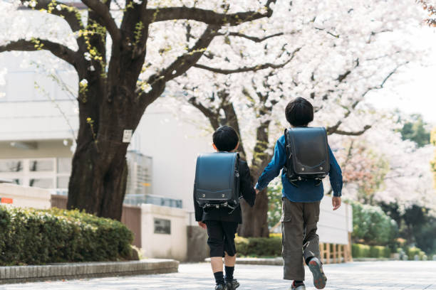 japanische obergrundschüler und erstklässler heben an einer kreuzung die hände - randoseru ranzen stock-fotos und bilder