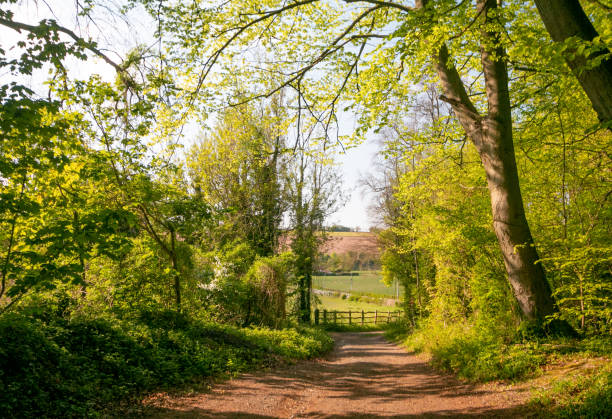 istock Eynsford in Kent, England 1223938626