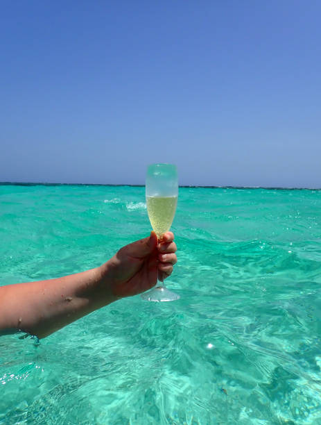 istock hand holding a glass of bubbling champagne 1223939257