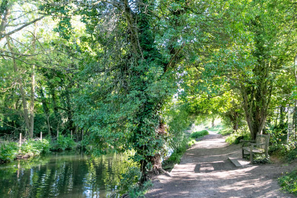 istock River Darent in Lullingstone Country Park, England 1223944905