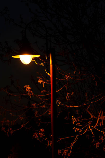 istock Lamp in the night in Tihany 1223947586