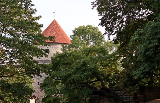istock Medieval stone fortress old Tallinn Estonia 1223948444