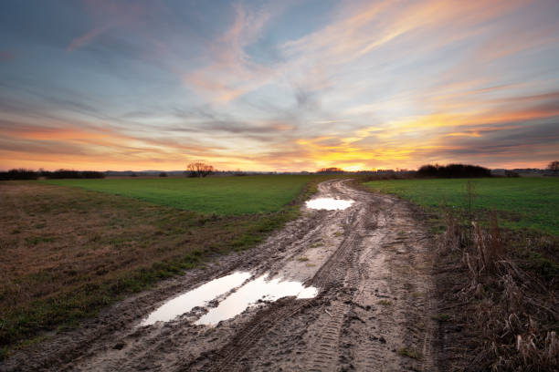 istock Puddles on a dirt road through fields and colorful clouds on evening sky 1223948579