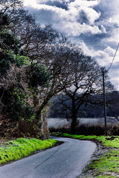 istock spring trees sunlight scenic landscape generic season road lane countryside 1223949441