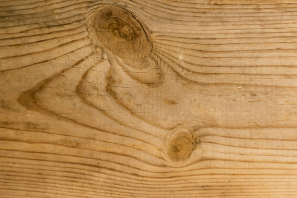 istock texture light wood Board with natural twigs 1223950950