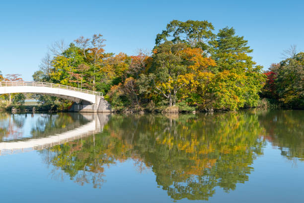 istock Natural public park with reflection water lake 1223953972