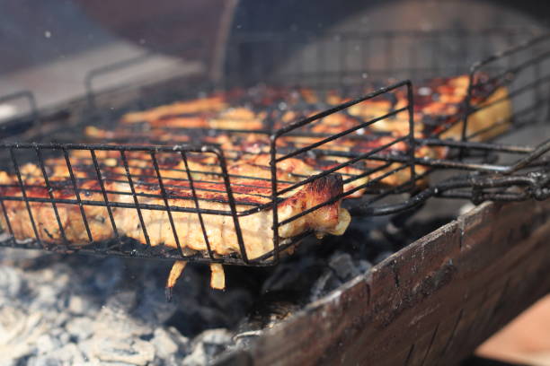 istock barbecue picnic, meat is roasted in the grill 1223954667