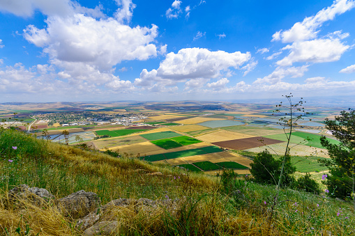 Landscape of the Jezreel Valley from Mount Gilboa. Northern Israel