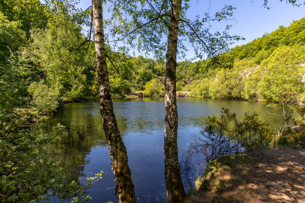 istock Scenic view at the silver lake on the mountain Lemberg 1223956022