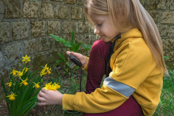 schöne kleine mädchen in lässiger kleidung macht ein foto von gelben blumen mit einer digitalkamera sitzen auf grünem gras, - child interview schoolgirl little girls stock-fotos und bilder