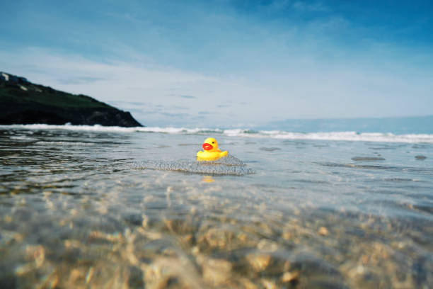 istock Rubber duck floating on the sea surface on a sunny day. 1223957424