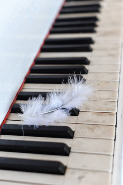 istock white feather on the keys of an old piano 1223960667