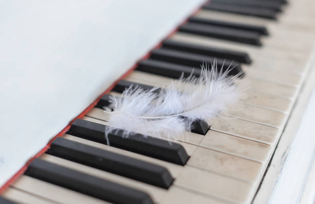 istock white feather on the keys of an old piano 1223960675