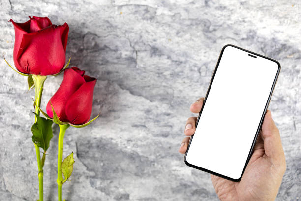 istock Mockup image of hand holding smartphone with blank white screen two red flowers placed on a stone plate. for valentine's day wallpaper. Top view. 1223961624