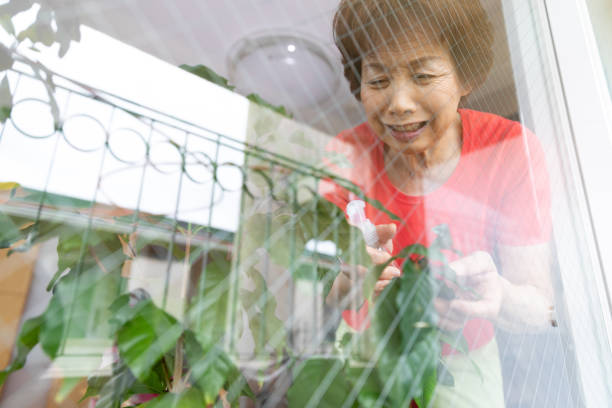 istock Senior woman enjoying gardening 1223962036