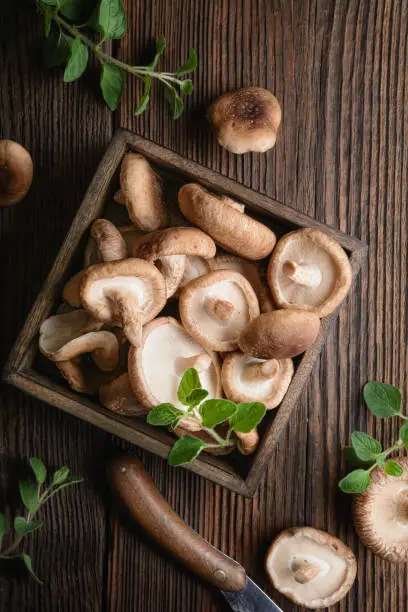 Photo of Heap of immunity boosting fresh Shiitake mushrooms in a bowl