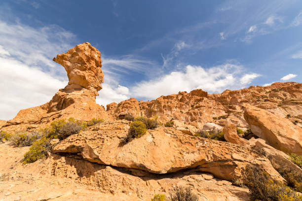 istock Valle de Rocas, or Stone Valley, in southern Bolivia 1223964453