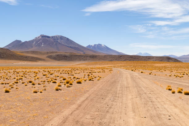 istock Panoramic view of  Siloli Desert, in Bolivia 1223965574