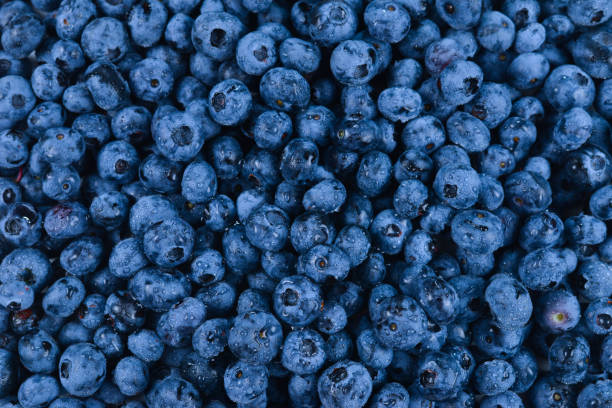 istock Fresh blueberry background. Texture blueberry berries close up. 1223965734
