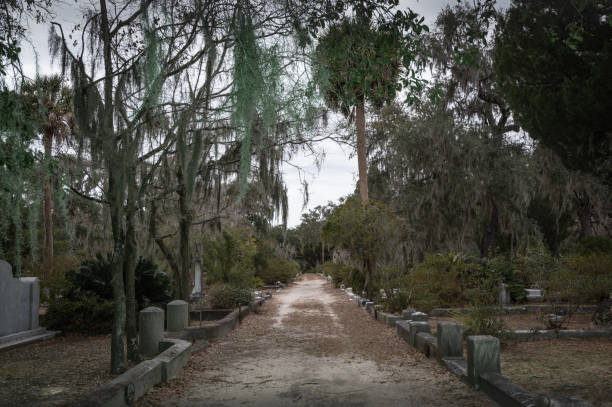 istock Grave in the Bonaventure Cemetery 1223965830