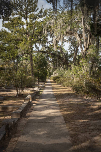istock Grave in the Bonaventure Cemetery 1223968582