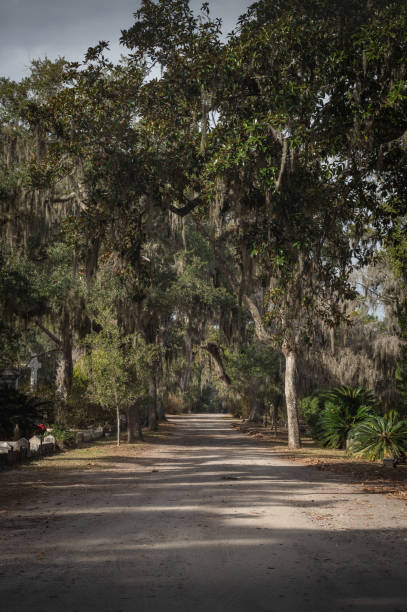 istock Grave in the Bonaventure Cemetery 1223968614