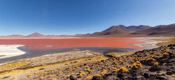 atemberaubender panoramablick auf laguna colorada, in bolivien - laguna colorada stock-fotos und bilder