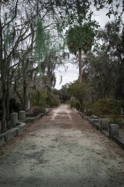 istock Grave in the Bonaventure Cemetery 1223971013