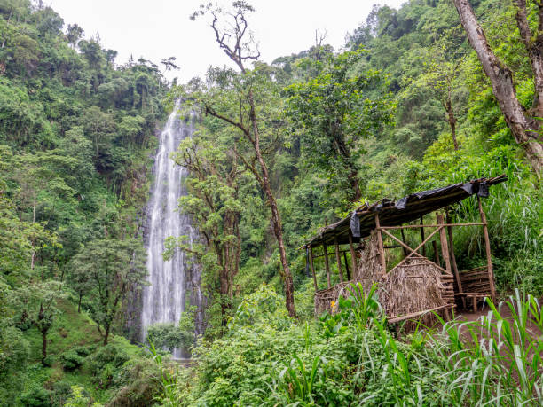 istock Materuni Waterfall near Moshi 1223972999