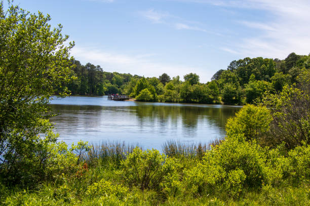 istock Little Mulberry Park, GA 1223973036