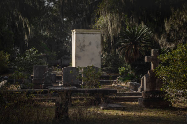 istock Grave in the Bonaventure Cemetery 1223973106