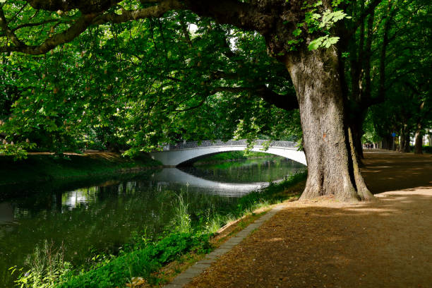The Lindenthal Canal runs through the city forest of Cologne