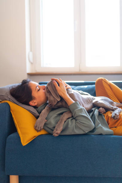 istock Relaxing on the sofa and embracing her puppy 1223974073