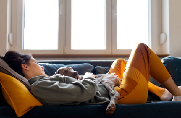 istock Taking a nap with her Weimaraner puppy on the sofa 1223974075
